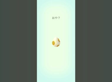 【Pokémon GO】 5km  Egg  Indeedee GET✨