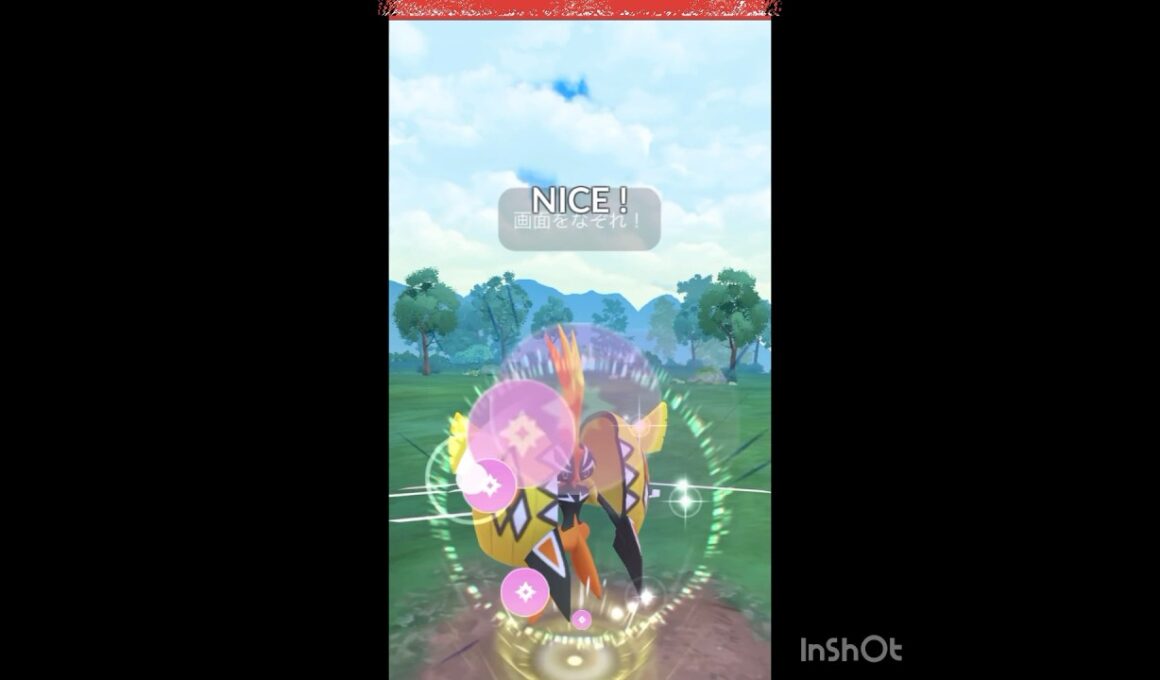 カプ・コケコが出陣💨