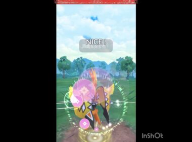 カプ・コケコが出陣💨