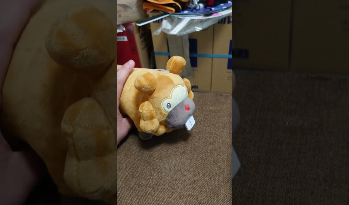 ビッパ つるぎのまい#shorts