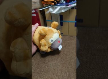 ビッパ つるぎのまい#shorts