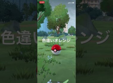 ポケモンGO 色違いフラベベ(オレンジいろのはな)出現！ #pokémon #ポケモン #ポケモンgo