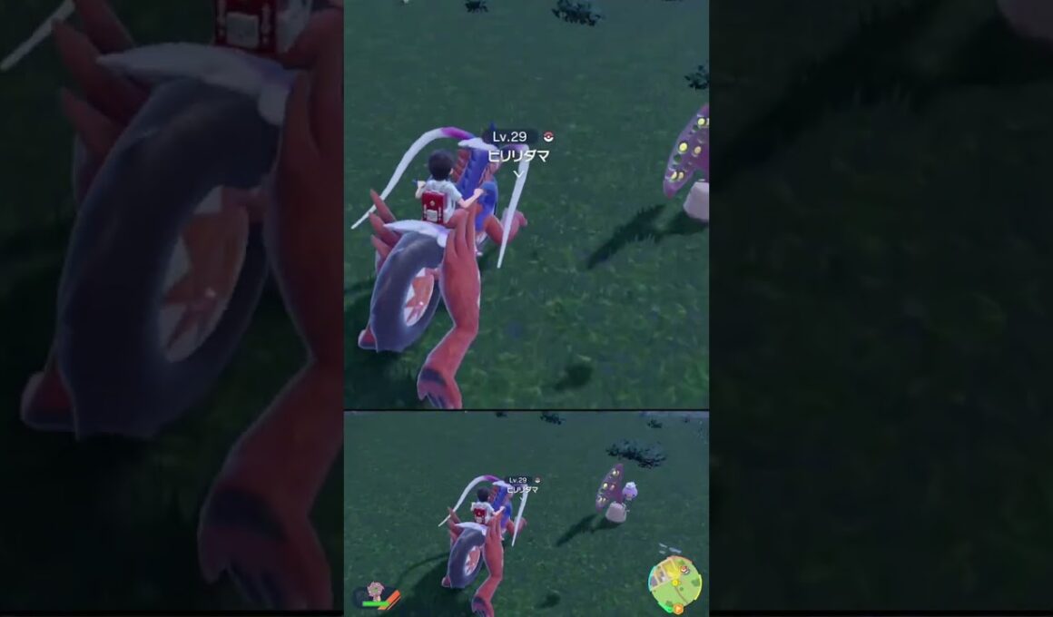 ステルス性能抜群の ビリリダマ #shorts #ポケモンsv #碧の仮面 #碧の円盤