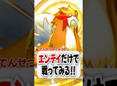 【検証】深刻なエネ不足…！エンテイex単騎でギラティナに挑戦したら意外といい勝負になったｗ【ポケポケ】