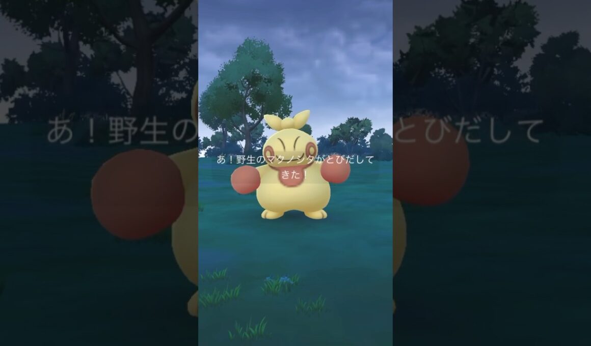 大きくなったプラスルみたいw【 ポケモンgo 】 色違い マクノシタ → 色違い ハリテヤマ ！メルヘンな色合いにwww #ポケモンgo #pokemongo