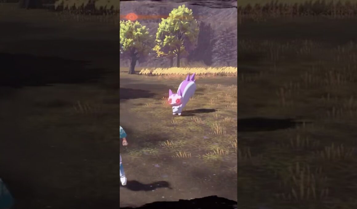 あまりにも不吉すぎる数字で現れるオヤブンパチリス#色違い#ポケモン