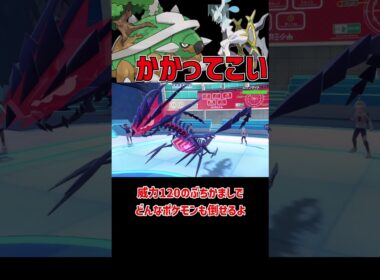 誰も止められない最強ドダイトス