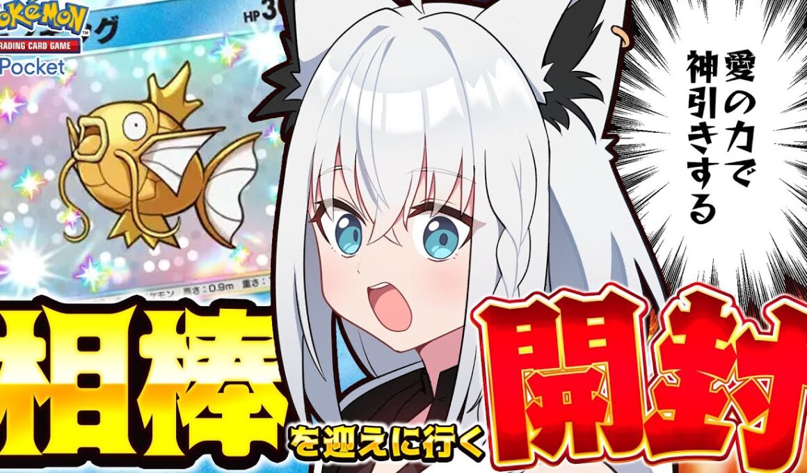 【ポケポケ】金コイある所に我はあり！推しのコイある所に白上あり！いでよ！金コイキング！！【白上フブキ/ホロライブ】