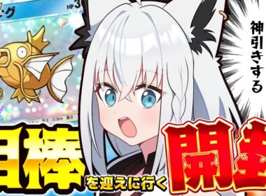 【ポケポケ】金コイある所に我はあり！推しのコイある所に白上あり！いでよ！金コイキング！！【白上フブキ/ホロライブ】