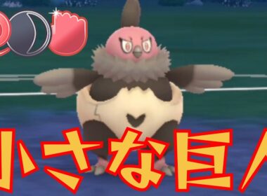 【怪鳥】小さな身体で大暴れ？！環境トップのバルジーナを実質2体使えるパーティとかそりゃ強いだろwww【GBL】【闘争心カップ】