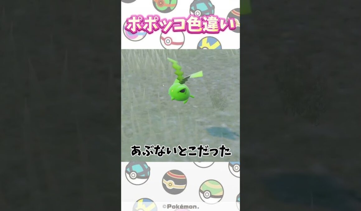 【ポケモンSV】色違い縛りの旅！ピンク編！ポポッコかわいいいいい。