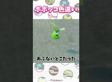 【ポケモンSV】色違い縛りの旅！ピンク編！ポポッコかわいいいいい。