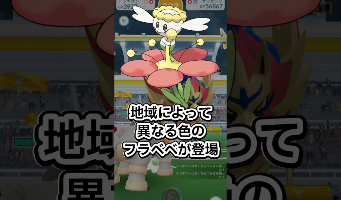 フラべべのコミュニティデイがやってくる！【ポケモンGO】 #ポケモン #ポケモンgo #shorts