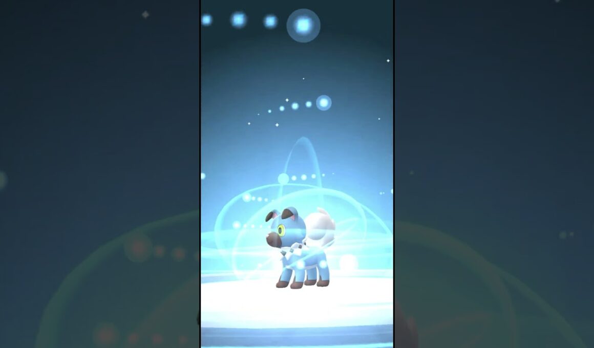 [PokemonGO] たそがれイワンコ色違い初ゲット&進化 #ポケモンgo