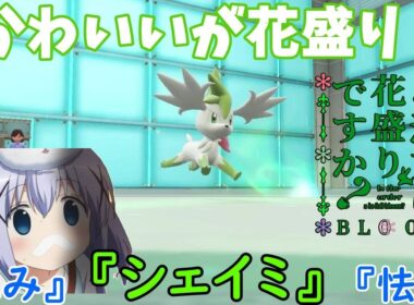【ポケモンSV】ご注文は「かわいいが花盛り♪」ですか？【シェイミ】