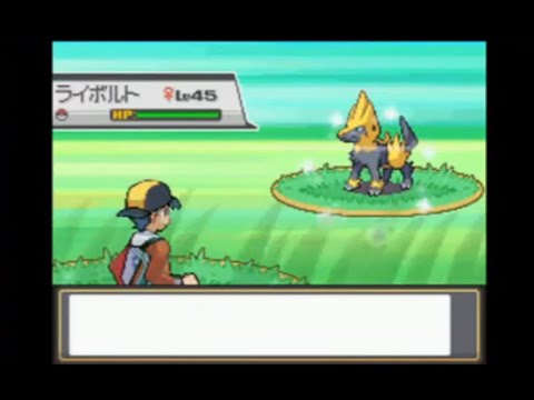 【ポケモン】HGSS色ライボルト捕獲チャレンジ！！！【色違い厳選】