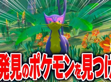 【ポケスナ】まだ見ぬポケモンを求めてジャングルへ向かったら大量に知らないポケモンが出てきて楽しい【New ポケモンスナップ】