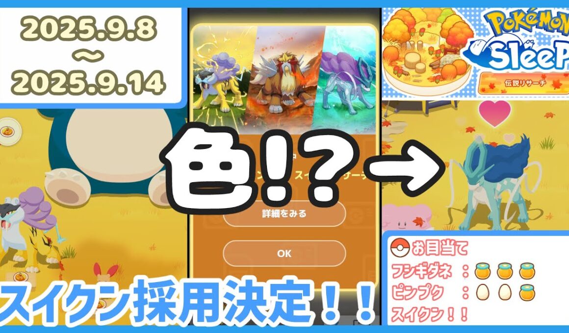 【ポケモンスリープ】ライコウ・エンテイ・スイクンリサーチ1週目！＆衝撃の色違いスイクン！！【#PokémonSleep】