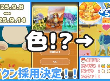 【ポケモンスリープ】ライコウ・エンテイ・スイクンリサーチ1週目！＆衝撃の色違いスイクン！！【#PokémonSleep】