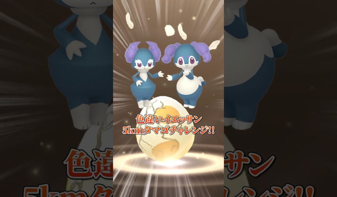 色違いイエッサン狙いで5kmたまご9連チャレンジしたら…！？ #ポケモン #ポケモンgo #pokemongo #Shorts