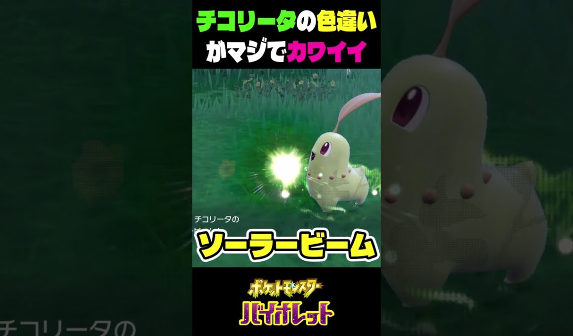 ポケモンsv色違い　ZA御三家のメガニウムの色違いがヤバすぎる