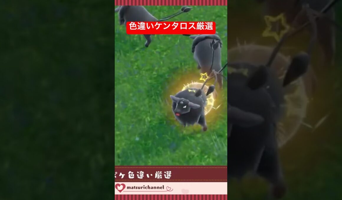 #ポケモンsv 色違いケンタロス厳選