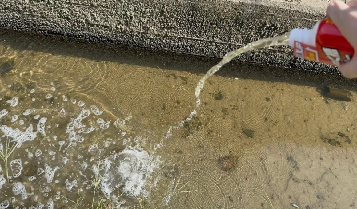 【環境破壊】川に洗剤撒いてみたwww