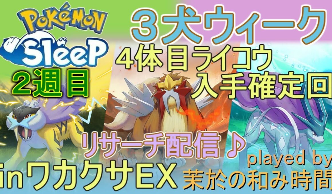 ４体目ライコウ確定！？結果はいかに！【#ポケモンスリープ】３犬ウィークキャンチケ＆お香焚きまくり！ワカクサEX＋２５％睡眠リサーチ♪Plus+所持。無課金のんびり攻略PokémonSleep実況♪