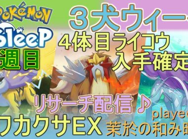 ４体目ライコウ確定！？結果はいかに！【#ポケモンスリープ】３犬ウィークキャンチケ＆お香焚きまくり！ワカクサEX＋２５％睡眠リサーチ♪Plus+所持。無課金のんびり攻略PokémonSleep実況♪