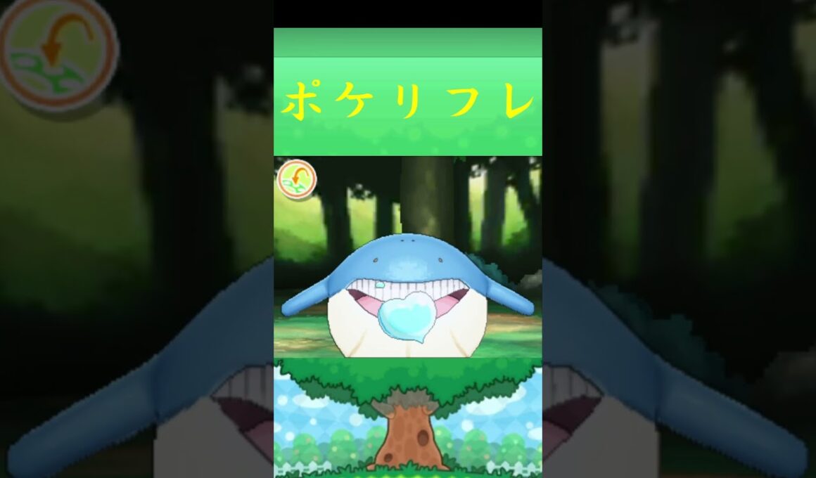 ホエルコ*ポケモン ポケリフレ ポケパルレ #ポケモン #Pokemon  #3DS #nintendoswitch #ポケモンsv #ポケモン #キャンプ #サンドイッチ #ピクニック