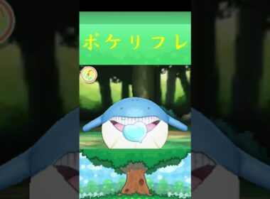 ホエルコ*ポケモン ポケリフレ ポケパルレ #ポケモン #Pokemon  #3DS #nintendoswitch #ポケモンsv #ポケモン #キャンプ #サンドイッチ #ピクニック