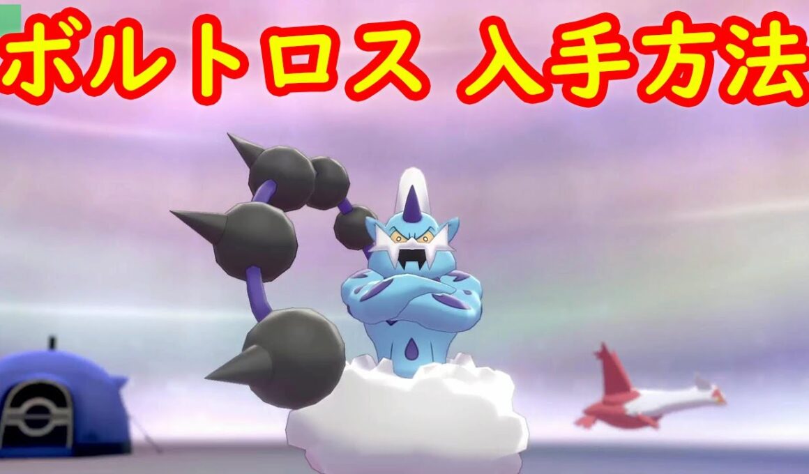 【ボルトロス】入手方法 ダイマックスアドベンチャー 攻略【冠の雪原 ポケモン剣盾DLC】