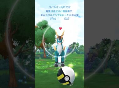 【ポケモンGO】コバルオンゲッチャレ #ポケモン #cobalion #ショート#伝説 #背景 #코바르온　#pokemongo #shorts #コバルオン