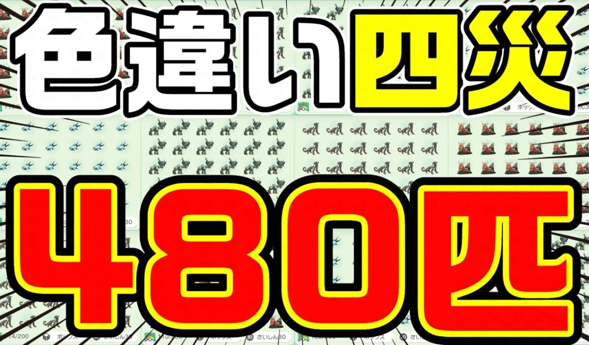 【ポケモンSV】"色違い四災ポケモン"をSwitch4台同時操作で大量にGETした結果www【パオジアン/イーユイ/ディンルー/チオンジェン/Switch2/藍の円盤】