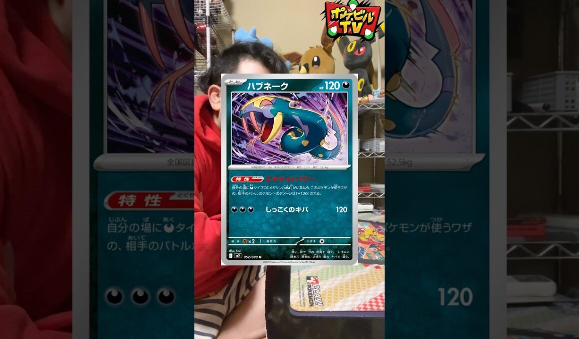 メガゲンガー…シングル900円…スターターがプレ値で3000円超えかぁ… #ポケカ #インフェルノ #メガゲンガーex #ハブネーク #新カード紹介