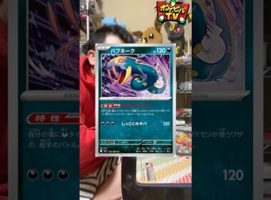 メガゲンガー…シングル900円…スターターがプレ値で3000円超えかぁ… #ポケカ #インフェルノ #メガゲンガーex #ハブネーク #新カード紹介