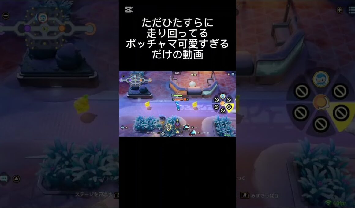 ポッチャマ推しポケだから参戦めっちゃ嬉しい！(性能は可愛くないけど)#ポケモンユナイト #ポケモン #ユナイト #ショート #pokemonunite