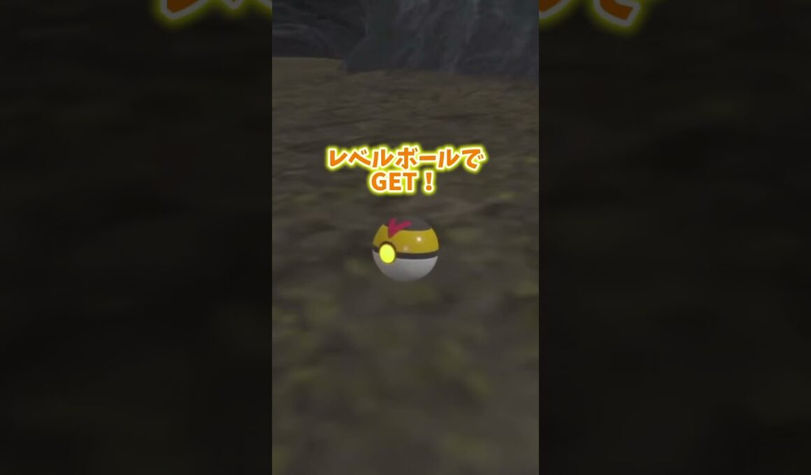 アチャモの色証厳選 #ポケモンsv