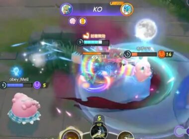 ゾロザシドドのモンタージュ