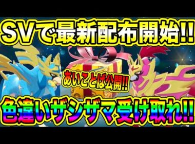 【緊急速報】SVに最新配布開始！！あいことば公開！！色違いのザシアンとザマゼンタの配布を受け取れ！！【ポケモンSV/スカーレット/バイオレット/ポケモンGO】
