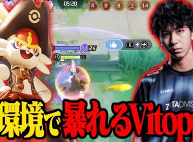 新環境で強いと噂のエースバーンを使った結果・・・【ポケモンユナイト】