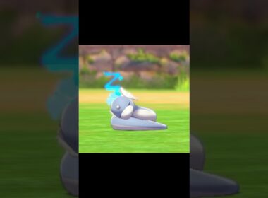 寝ているミニリュウ　#Shorts