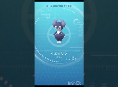 こうなると♀もほしかった！！〜 イエッサン（オスのすがた）生まれた！【 ポケモンgo 】 5kmたまごから生まれるイエッサン #pokemongo #ポケモンgo #イエッサン