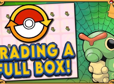 キャタピーのフルボックスをサプライズでトレードしました！