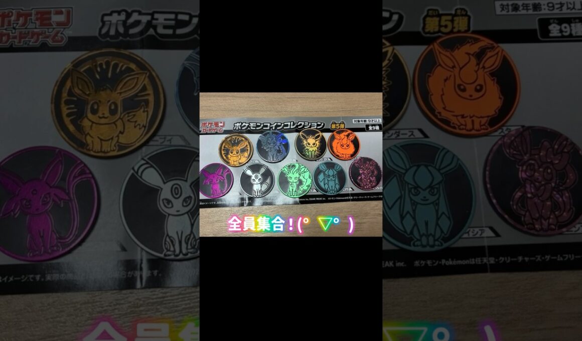 ブイズコインコンプ！！長い道のりでした🥹　#イーブイ #ポケモン #ブイズ #シャワーズ #ブースター #サンダース #ブラッキー #エーフィ #リーフィア #グレイシア #ニンフィア #ポケカ