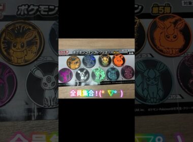 ブイズコインコンプ！！長い道のりでした🥹　#イーブイ #ポケモン #ブイズ #シャワーズ #ブースター #サンダース #ブラッキー #エーフィ #リーフィア #グレイシア #ニンフィア #ポケカ