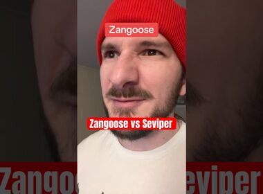 Zangoose vs Seviper