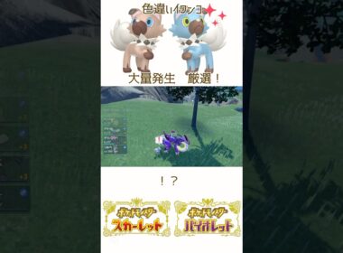 色違いイワンコ出現🐶大量発生 #ポケモンsv #色違いポケモン #イワンコ #pokemon #Rockruff #shinypokemon