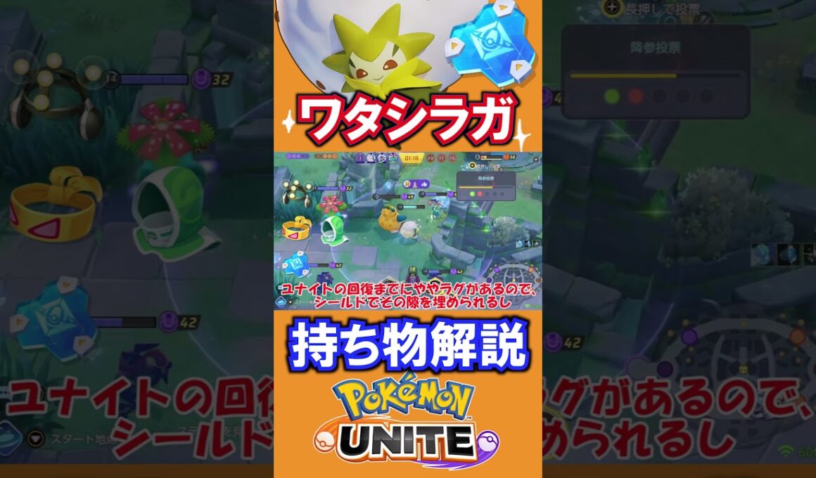 ワタシラガ持ち物解説