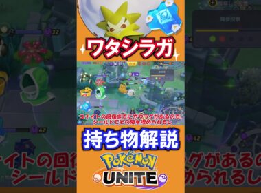 ワタシラガ持ち物解説